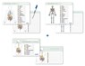 Ich kenne meinen Körper - Organe / Skelett / Verdauung- 3 Tafeln im Set mit Stift - Katrin Langhans - 9783946904540