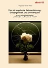 Zen als mystische Seinserfahrung: Geborgenheit und Urvertrauen - Mugaraito Günter Weber - 9783947104499