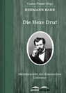 Die Hexe Drut - Hermann Bahr - 9783955012793