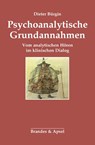 Psychoanalytische Grundannahmen - Dieter Bürgin - 9783955582807