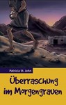 Überraschung im Morgengrauen - Patricia St John ; Bibellesebund - 9783955683245