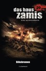 Das Haus Zamis 20 - Biikebrennen - Uwe Voehl ; Catalina Corvo - 9783955722203
