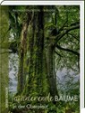 Faszinierende Bäume in der Oberpfalz - Jürgen Schuller - 9783955870942