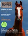 Natural Horse 61 - Fellwechsel im Frühjahr -  - 9783958471610