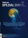 Spektrum Spezial BMH 3/2025 - Lebensraum Meer - Spektrum der Wissenschaft - 9783958929579