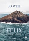 Felix - Zurück zu mir - Jo Weil - 9783959498036