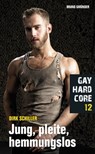 Gay Hardcore 12: Jung, pleite, hemmungslos - Dirk Schiller - 9783959853446
