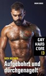 Gay Hardcore 13: Aufgebohrt und durchgenagelt - Nick Holzner - 9783959853842