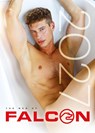 The Men of Falcon 2027 -  - 9783959857598
