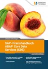SAP-Praxishandbuch ABAP Core Data Services (CDS) - Johannes Gerbershagen - 9783960123972