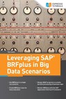 Leveraging SAP BRFplus in Big Data Scenarios - Tom Zamir - 9783960124542