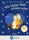Wie kleine Tiere schlafen gehen. Das große Vorlesebuch - Anne-Kristin zur Brügge - 9783960523857