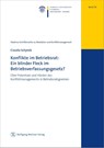 Konflikte im Betriebsrat: Ein blinder Fleck im Betriebsverfassungsgesetz? - Claudia Schymik - 9783961171613