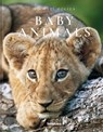 Baby Animals - Michael Poliza - 9783961711413