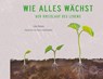 Wie alles wächst - Libby Walden - 9783961851010