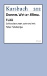 FLXX 4 | Schlussleuchten von und mit Peter Felixberger - Peter Felixberger - 9783961961856