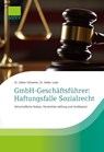 GmbH-Geschäftsführer: Haftungsfalle Sozialrecht - Volker Schramm ; Stefan Lode - 9783962761530