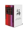 Romane und Erzählungen (5 Bände im Schuber) - Gustave Flaubert - 9783963181153