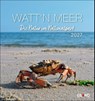 Watt'n Meer Postkartenkalender 2027 - Die Natur im Nationalpark -  - 9783964024237