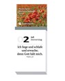 Neukirchener Bibelspruchkalender 2026 -  - 9783965360648