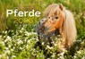Paarden kalender 2026 - Comello - 9783966649681