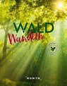 KUNTH Wald & Wandern - Katinka Holupirek ; Jutta M. Ingala ; Dirk Thomsen - 9783969650660