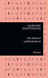Die Hochzeit auf Buchenhorst - Gerhart Hauptmann - 9783969820995