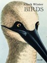 Birds - Clark Winter - 9783969993583