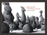 Der Garten des Abdul Gasazi - Chris Van Allsburg - 9783982349312