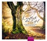 Kraftorte der Eifel - Regine Brühl - 9783985080557
