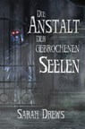 Die Anstalt der gebrochenen Seelen - Sarah Drews - 9783985280124