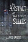 Die Anstalt der gebrochenen Seelen - Sarah Drews - 9783985280131