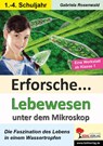 Erforsche ... Lebewesen unter dem Mikroskop - Gabriela Rosenwald - 9783985580729