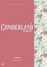 A Cumberland Vendetta - John Fox Jr. ; Sheba Blake - 9783985945702