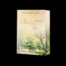 Chellston Bay - Vanessa Fuhrmann - 9783987182006