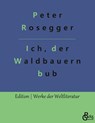 Als ich noch der Waldbauernbub war - Peter Rosegger - 9783988281388