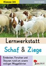 Lernwerkstatt Schaf und Ziege - Axel Gutjahr - 9783988413093