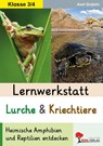 Lernwerkstatt Lurche und Kriechtiere - Axel Gutjahr - 9783988413512