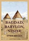 Bagdad, Babylon, Ninive - Dr. Sven Hedin - 9783988681218