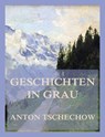 Geschichten in Grau - Anton Tschechow - 9783988683434