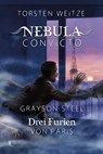 Grayson Steel und die Drei Furien von Paris - Torsten Weitze - 9783988960436
