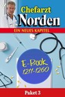 E-Book 1211 - 1260 - Diverse Autoren - 9783989369931