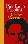 Kleines Meerstück - Pier Paolo Pasolini ; Nico Naldini ; Maike Albath - 9783990370490