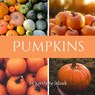 Pumpkins - Kerianne N. Jelinek - 9784137174315