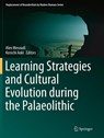 Learning Strategies and Cultural Evolution during the Palaeolithic - Alex Mesoudi ; Kenichi Aoki - 9784431562764