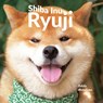 Shiba Inu Ryuji - Yukiko Motoshima - 9784756253798