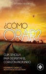 ¿Como orar?: Guía sencilla para despertar el corazón profundo - Jacques Philippe - 9786077652748