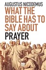What the Bible Has To Say About Prayer - Augustus Nicodemus - 9786559882342