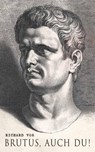 Brutus, auch Du! - Richard Voß - 9788026871064