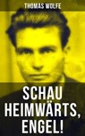 Schau heimwärts, Engel! - Thomas Wolfe ; Teresa Winkler - 9788075836335